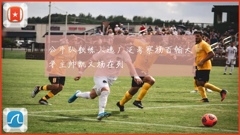 公牛队教练人选广泛考察杨百翰大学主帅凯文杨在列